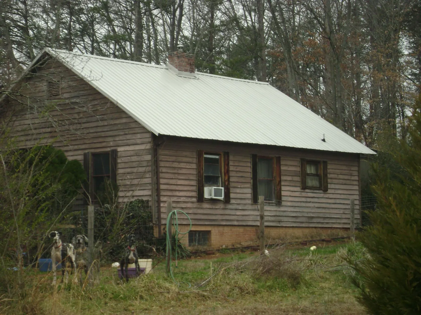 White metal roof on an old wood sided farmhouse, from a Asphalt Shingle Roof Repair job in Bellwood